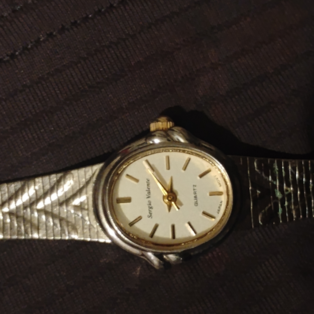 Steve Valenti Silver and Gold Watch